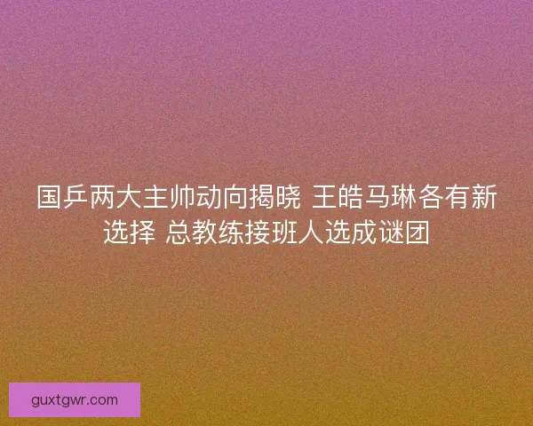 国乒两大主帅动向揭晓 王皓马琳各有新选择 总教练接班人选成谜团