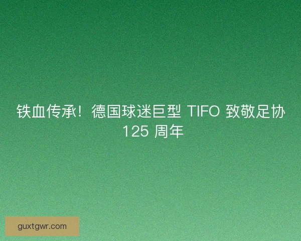 铁血传承！德国球迷巨型 TIFO 致敬足协 125 周年