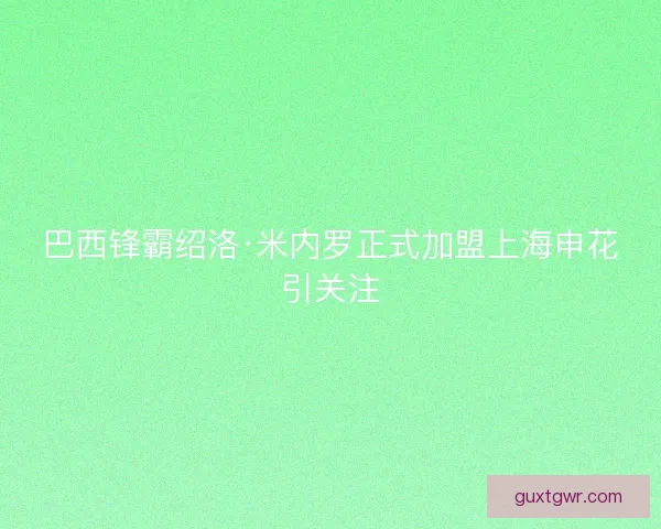 巴西锋霸绍洛·米内罗正式加盟上海申花引关注