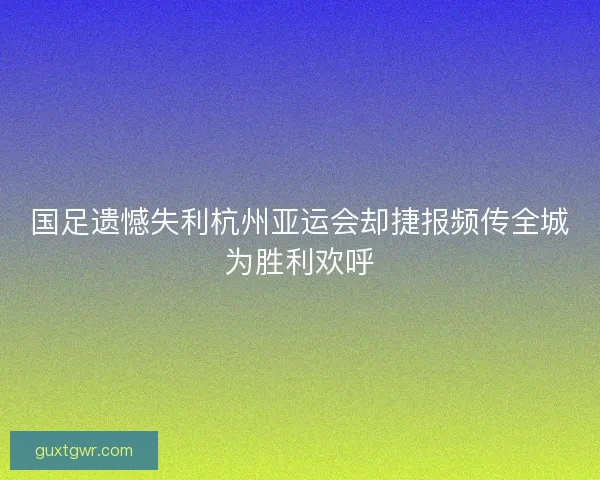 国足遗憾失利杭州亚运会却捷报频传全城为胜利欢呼