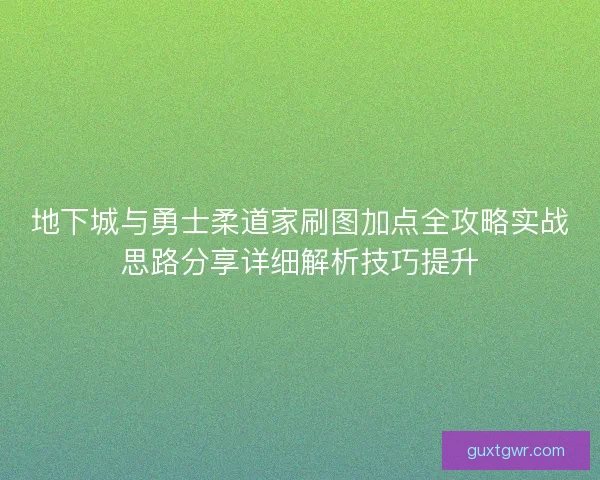 地下城与勇士柔道家刷图加点全攻略实战思路分享详细解析技巧提升