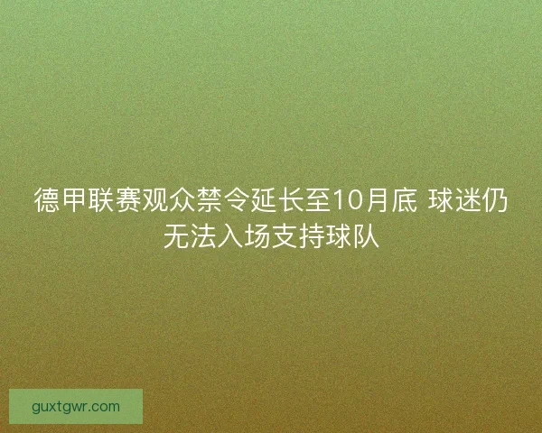 德甲联赛观众禁令延长至10月底 球迷仍无法入场支持球队